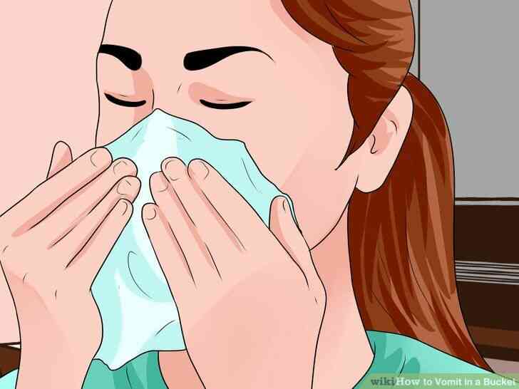 Image intitulée Vomir dans un Seau à l